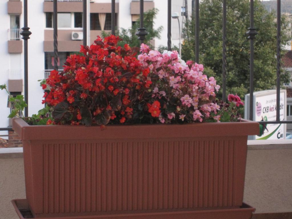 Apartments City Center Тиват Экстерьер фото